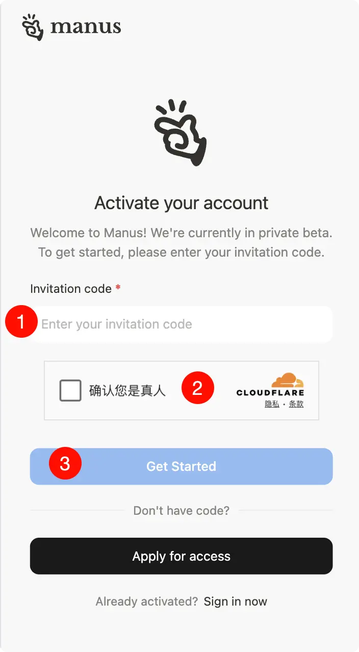 Manus 激活示例 1